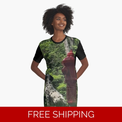 Le Studio Graphic T-Shirt Dress Rush Signals Monument Back